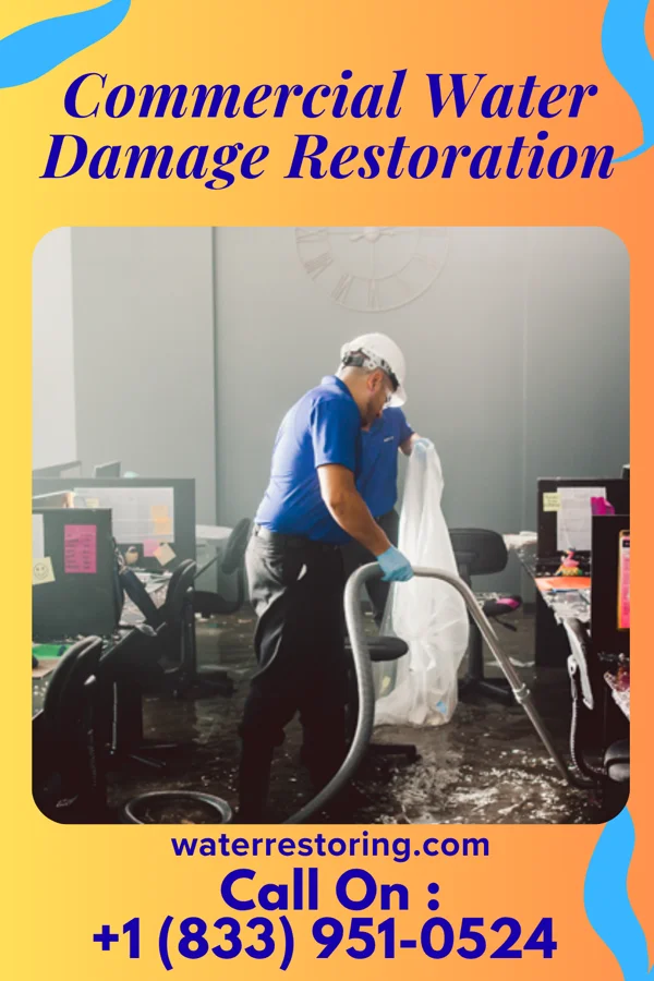 Commercial Water Damage Restoration in Willisburg, KY