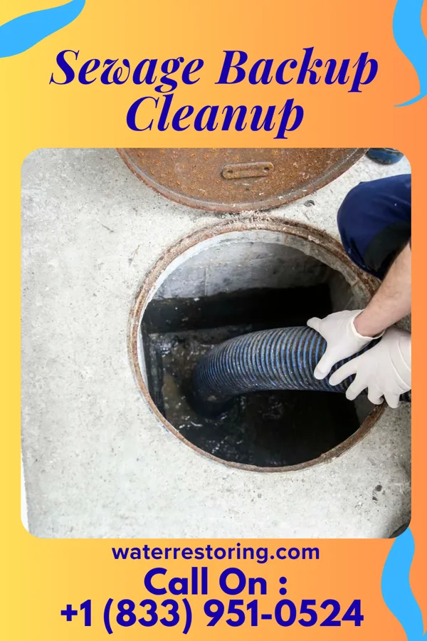 Sewage Backup Cleanup in Willisburg, KY