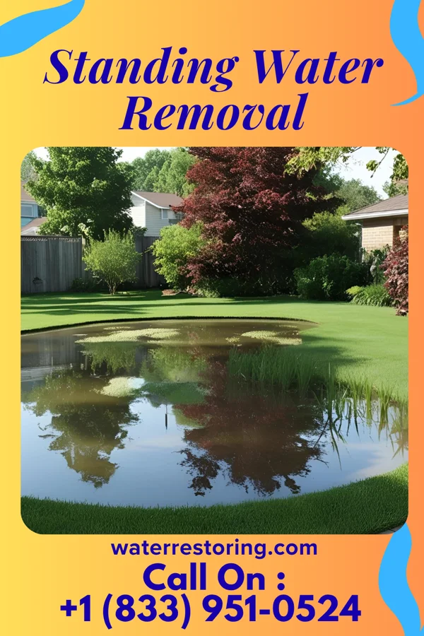 Standing Water Removal in Willisburg, KY